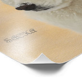 Samoyed Portrait 14x11 Kodak Quality Paper Foto Afdruk (Hoek)