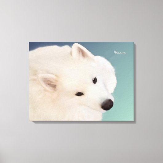Samoyed Portret 24." x 16."x 1.5"Verpakt Canvas (Voorkant)