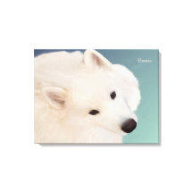 Samoyed Portret 24." x 16."x 1.5"Verpakt Canvas