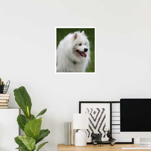 Samoyed Poster (Thuiskantoor)