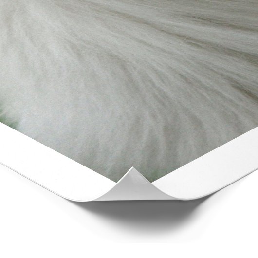 Samoyed Poster (Hoek)