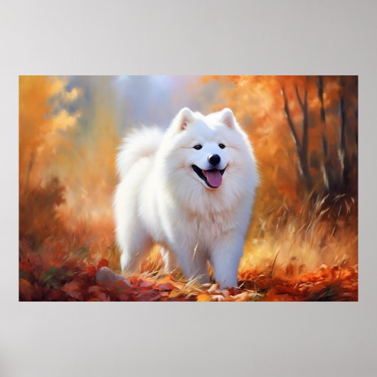 Samoyed Poster (Voorkant)