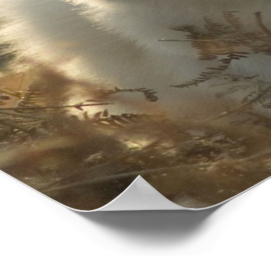 Samoyed Poster afdrukken (Hoek)