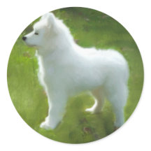 Samoyed Pup Sticker; Diverse Maten