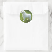 Samoyed Pup Sticker; Diverse Maten Ronde Sticker (Tas)
