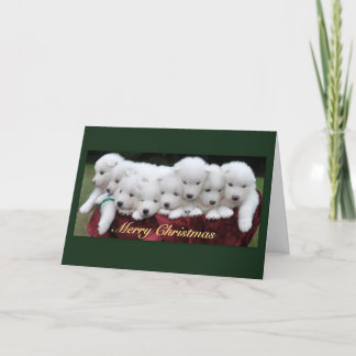 Samoyed Puppies (4 weeks old) Christmas Feestdagen Kaart