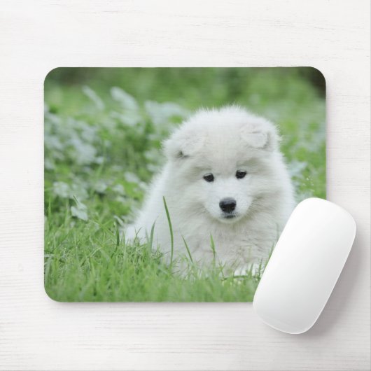 Samoyed puppy muismat (Met muis)