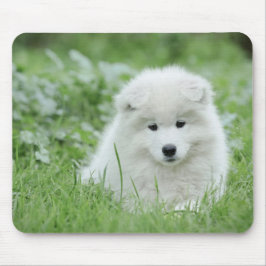 Samoyed puppy muismat