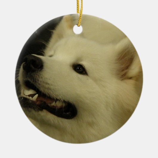 Samoyed Puppy Ornament (Voorkant)