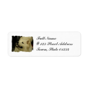 Samoyed Puppy Retouradres Mailing Label