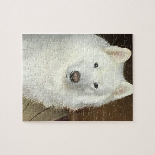 Samoyed Puzzle Legpuzzel (Horizontaal)