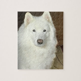 Samoyed Puzzle Legpuzzel