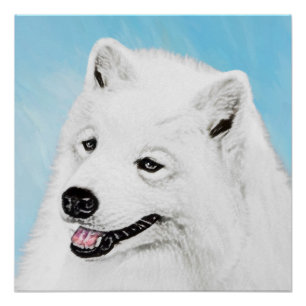 Samoyed Schilderij - Mooie Originele Honden Kunst Perfect Poster