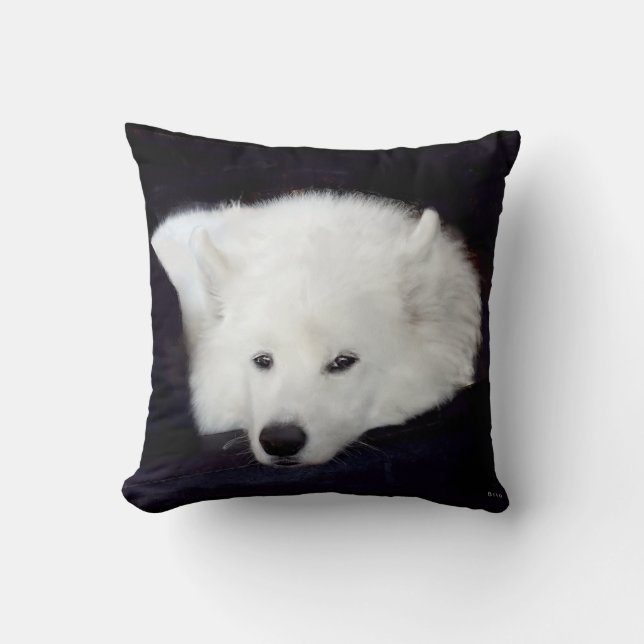 Samoyed Sierkussen:Keuze uit materiaal, Kleur ... Kussen (Voorkant)