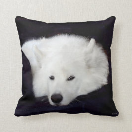 Samoyed Sierkussen:Keuze uit materiaal, Kleur ... Kussen