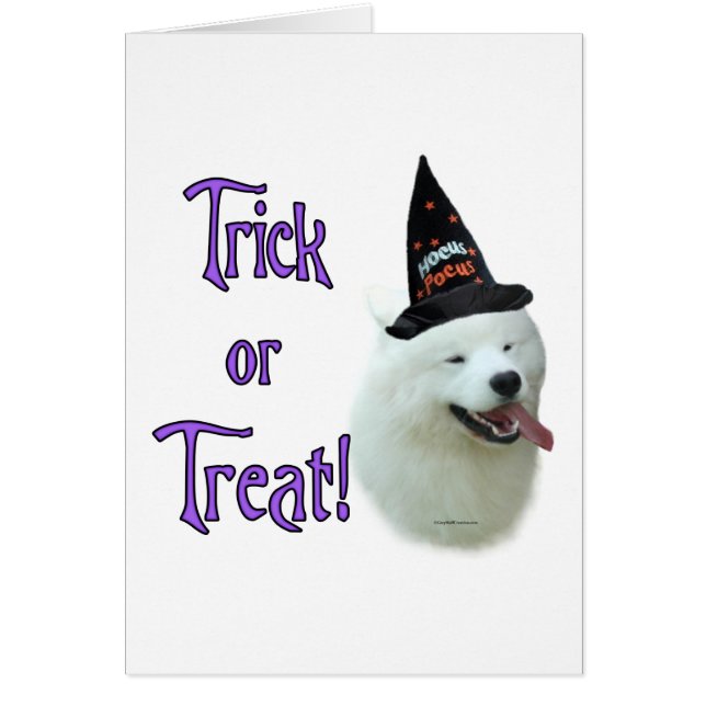 Samoyed Trick (Voorkant)