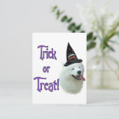 Samoyed Trick Briefkaart (Staand voorkant)