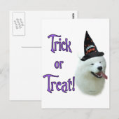 Samoyed Trick Briefkaart (Voorkant / Achterkant)