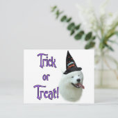 Samoyed Trick Briefkaart (Staand voorkant)