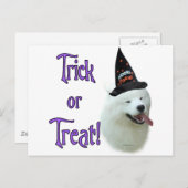 Samoyed Trick Briefkaart (Voorkant / Achterkant)