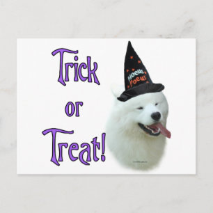 Samoyed Trick Briefkaart