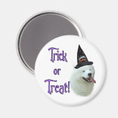 Samoyed Trick Magneet (Voorkant / Achterkant)