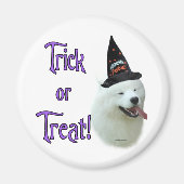 Samoyed Trick Magneet (Voorkant)