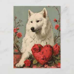 Samoyed  Valentijnsdag Briefkaart