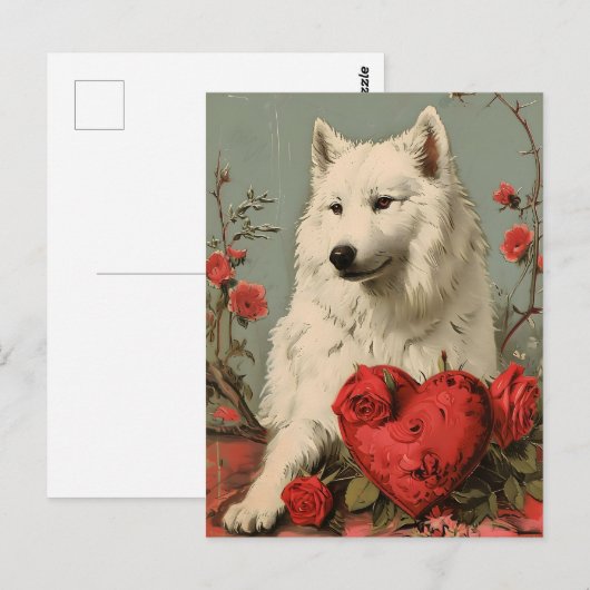 Samoyed  Valentijnsdag Briefkaart (Voorkant / Achterkant)