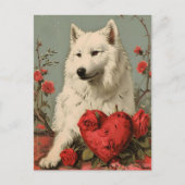 Samoyed  Valentijnsdag Briefkaart (Voorkant)
