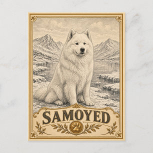 Samoyed, Vintage Heritage Hond Briefkaart