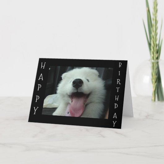 SAMOYED ZEGT SAVE ME CAKE / IK HOU VAN ONZE VERJAA KAART (Voorkant)