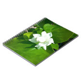 Sampaguita Jasmine Notitieboek (Linkerzijde)