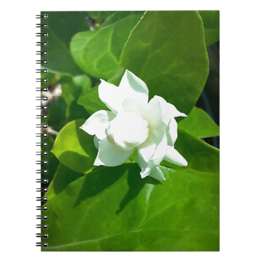 Sampaguita Jasmine Notitieboek (Voorkant)