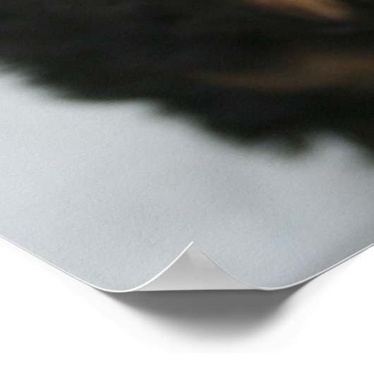 Sampson Poster (Hoek)