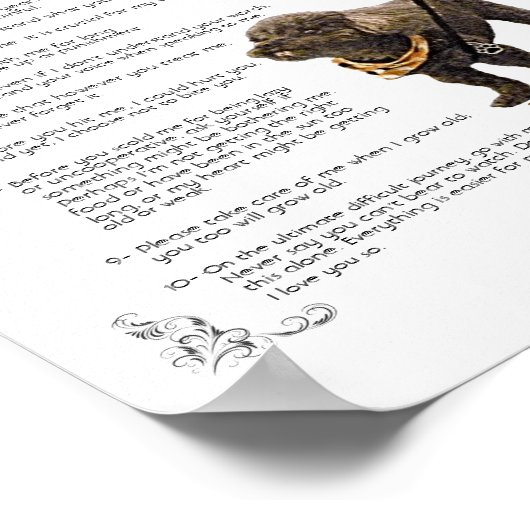 SAMSON - POSTER (Hoek)