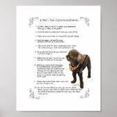 SAMSON - POSTER (Voorkant)