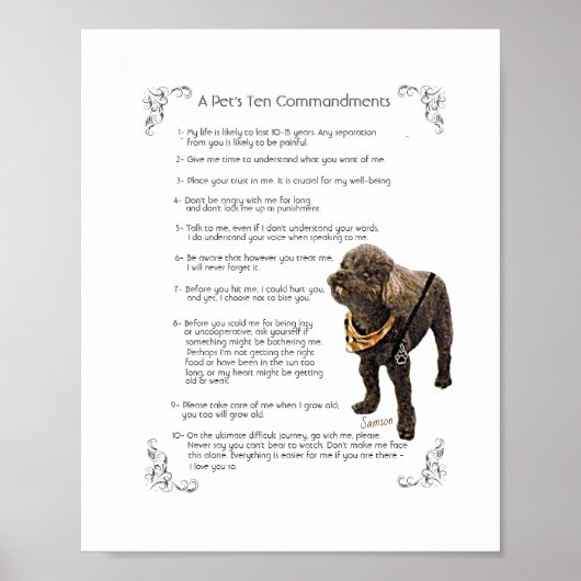 SAMSON - POSTER (Voorkant)