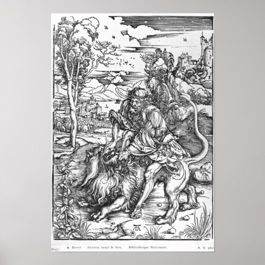Samson slaying the lion, c.1496-98 poster (Voorkant)