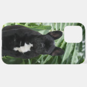 Samsung Galaxy Hülle französische Bulldogge Samsu iPhone Hoesje (Achterkant horizontaal)