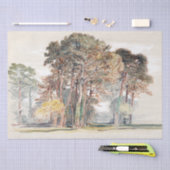 Samuel Colman | De pijnbomen van El Monte... Tissuepapier (Craft)