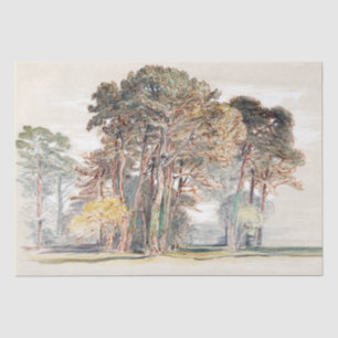 Samuel Colman De pijnbomen van El Monte... Tissuepapier