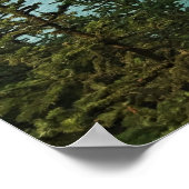 Samuel H. Boardman, kust van Oregon Poster (Hoek)