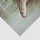 Samuel Kilbourne | Laping Brook-forel - 1874 Tissuepapier (Detail)