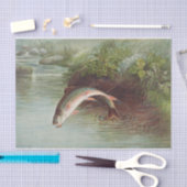 Samuel Kilbourne | Laping Brook-forel - 1874 Tissuepapier (Craft)