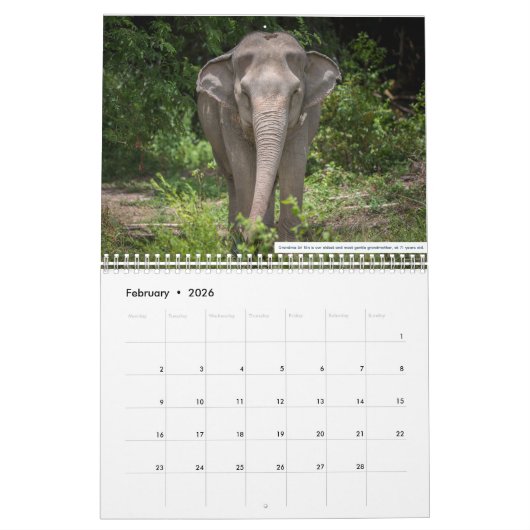 Samui Elephant Haven 2023 Agenda Kalender (Feb 2026)