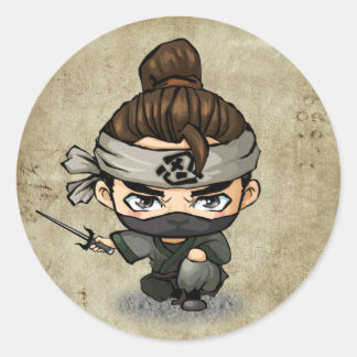 Samurai en Ninja Stickers - Aoshi