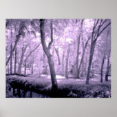 Samurai Forest Poster (Voorkant)