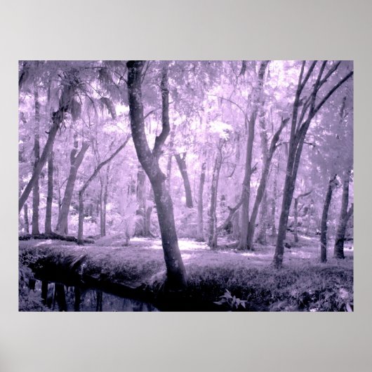 Samurai Forest Poster (Voorkant)