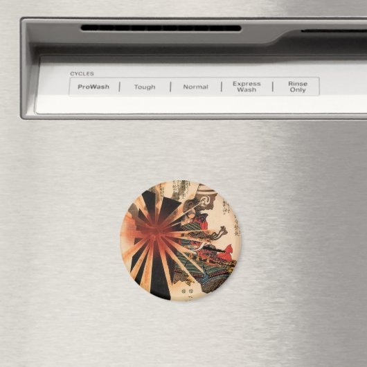 Samurai I Magneten (Insitu (Vaatwasser))